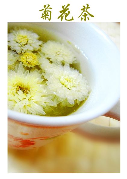 Горячий хризантемовый чай