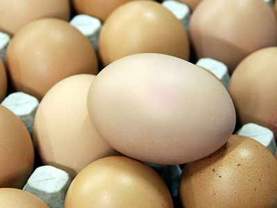 Как выбрать качественные куриные яйца?