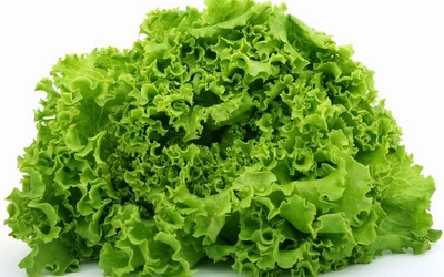 Полезные свойства листьев салата