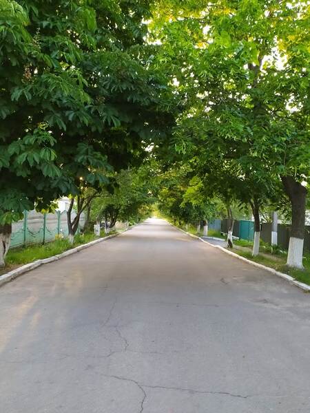 Дома престарелых в Украине