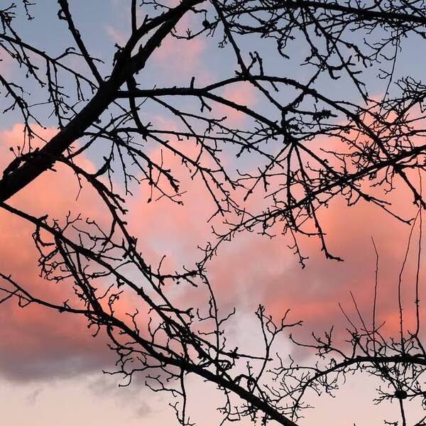 Закон про чистый воздух 1956 года