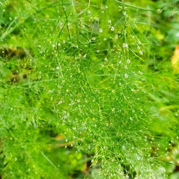 Почему необходимо делать много контента