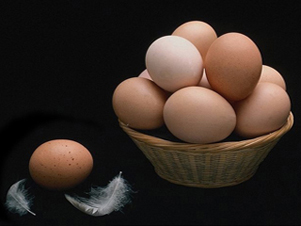 Значение продуктов в лечебном питании. Куриные яйца