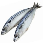 �������� � �����