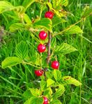 ������`� �� ������