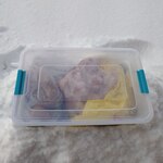 �������� ��������� � �����