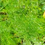 Почему необходимо делать много контента