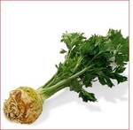  (Celery)